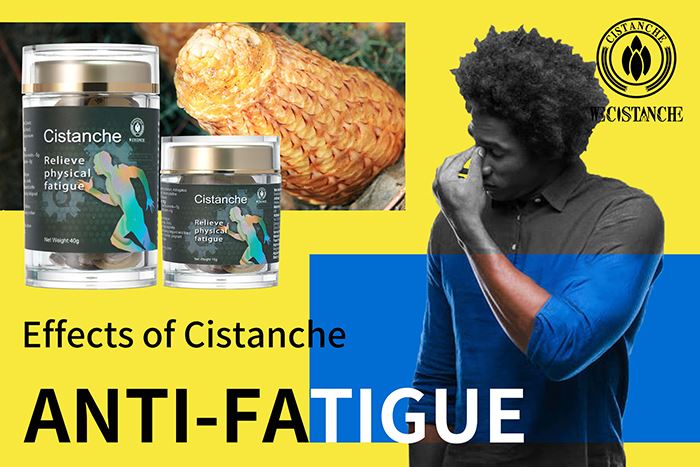 Cistanche Tubulosa Supplements
