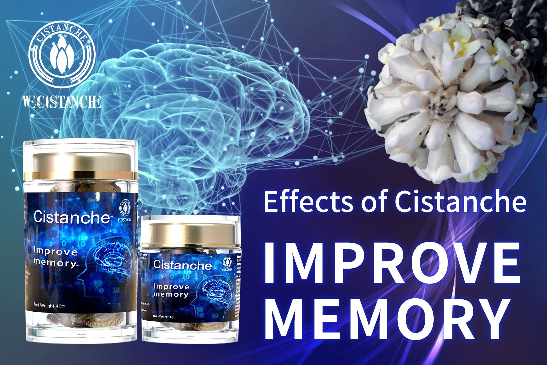 memory improvement Cistanche extract