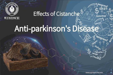 cistanche benefits cistanche benefits
