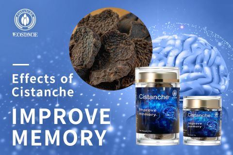 Cistanche-improve memory10 Cistanche-improve memory10