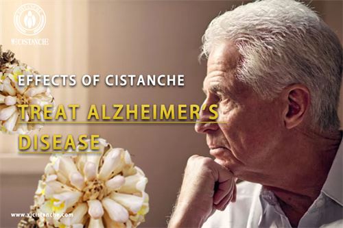 Cistanche for Alzheimer's disease,click here to know more Cistanche for Alzheimer's disease,click here to know more