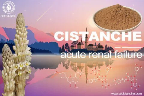 Cistanche-acutal failure-2(104)