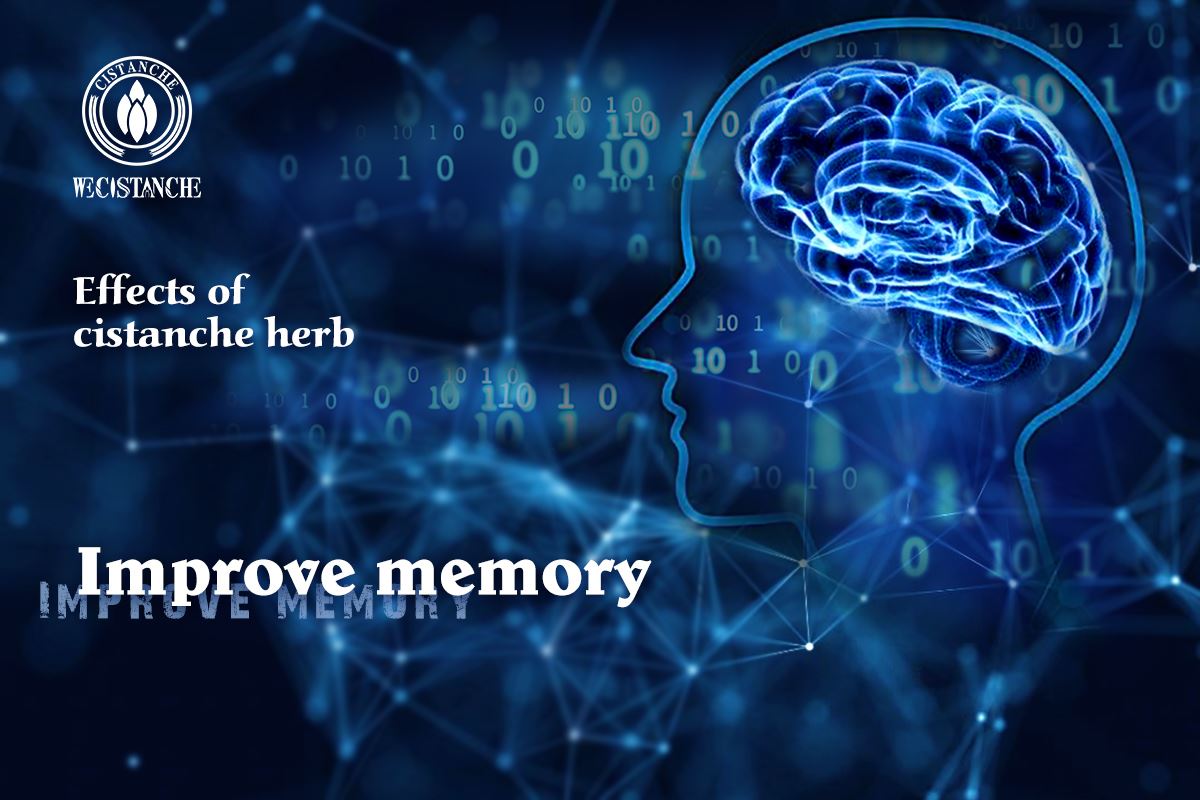 Improve memory Improve memory