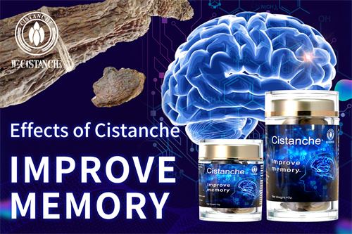 Cistanche has neuroprotective effects