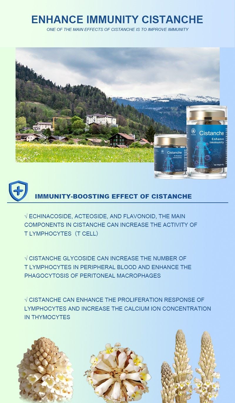 best herb for Immunity-Cistanche