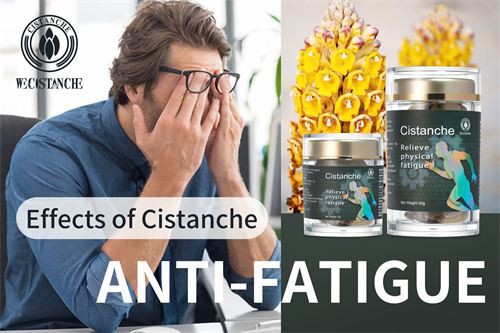cistanche bodybuilding
