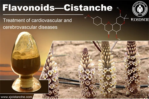 flavonoids supplements cardiovascular cerebrovasular flavonoids supplements cardiovascular cerebrovasular