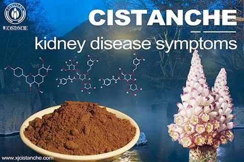 Chinese Herbs to lower your Creatinine Level in your body Chinese Herbs to lower your Creatinine Level in your body