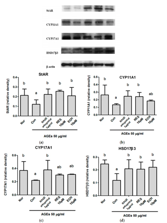 cistanche benefits