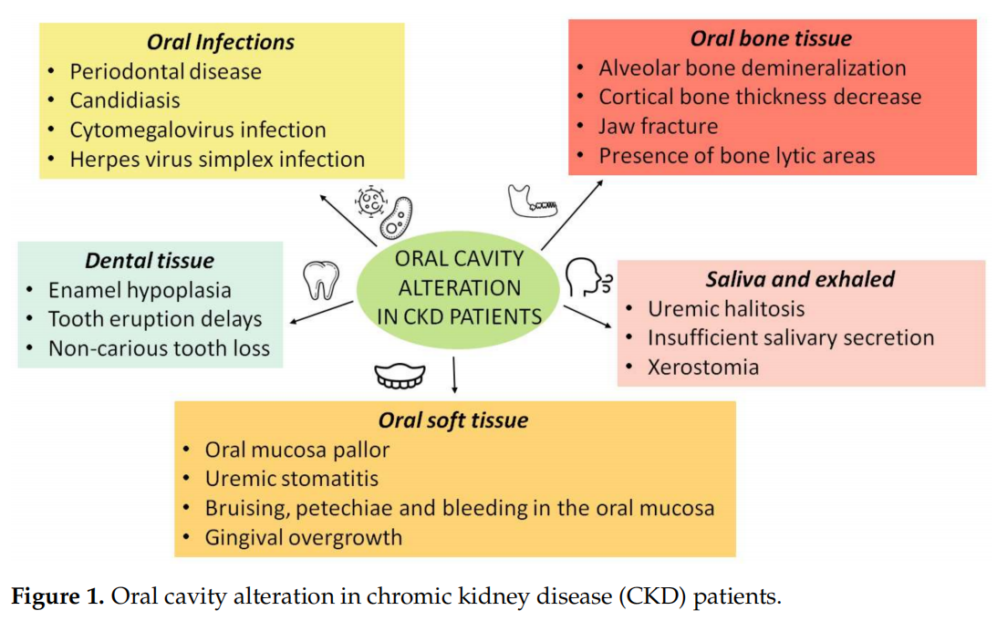 Oral cavity alteration in chromic kidney disease (CKD) patients. Oral cavity alteration in chromic kidney disease (CKD) patients.