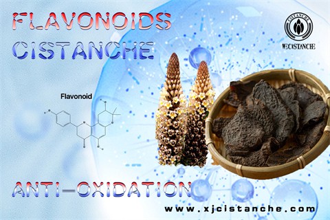 bioflavonoids antioxidant bioflavonoids antioxidant