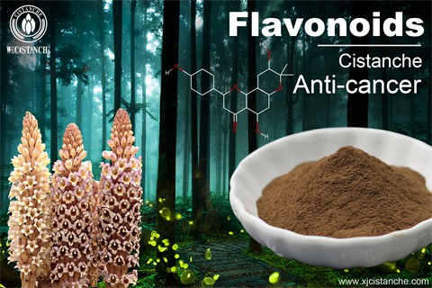 flavonoids anti cancer flavonoids anti cancer