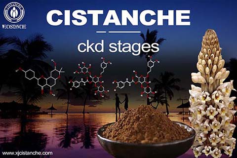 best herb for chronic renel failure