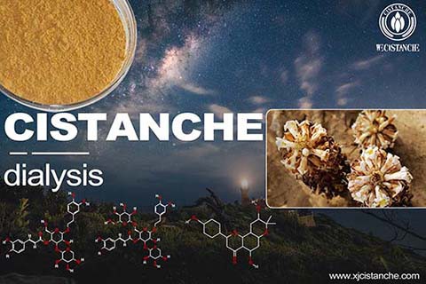 best herb for chronic renel failure