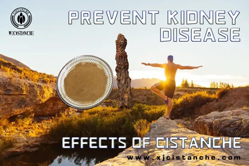 the best kidney supplement