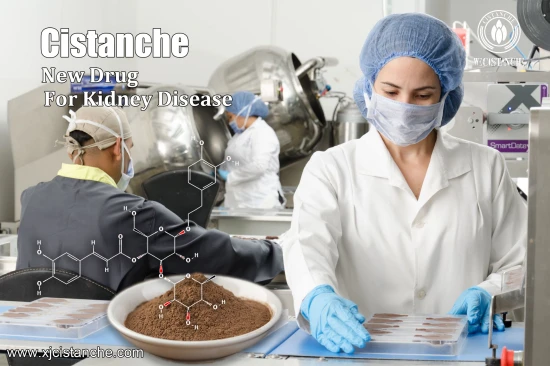cistanche for anti-cancer