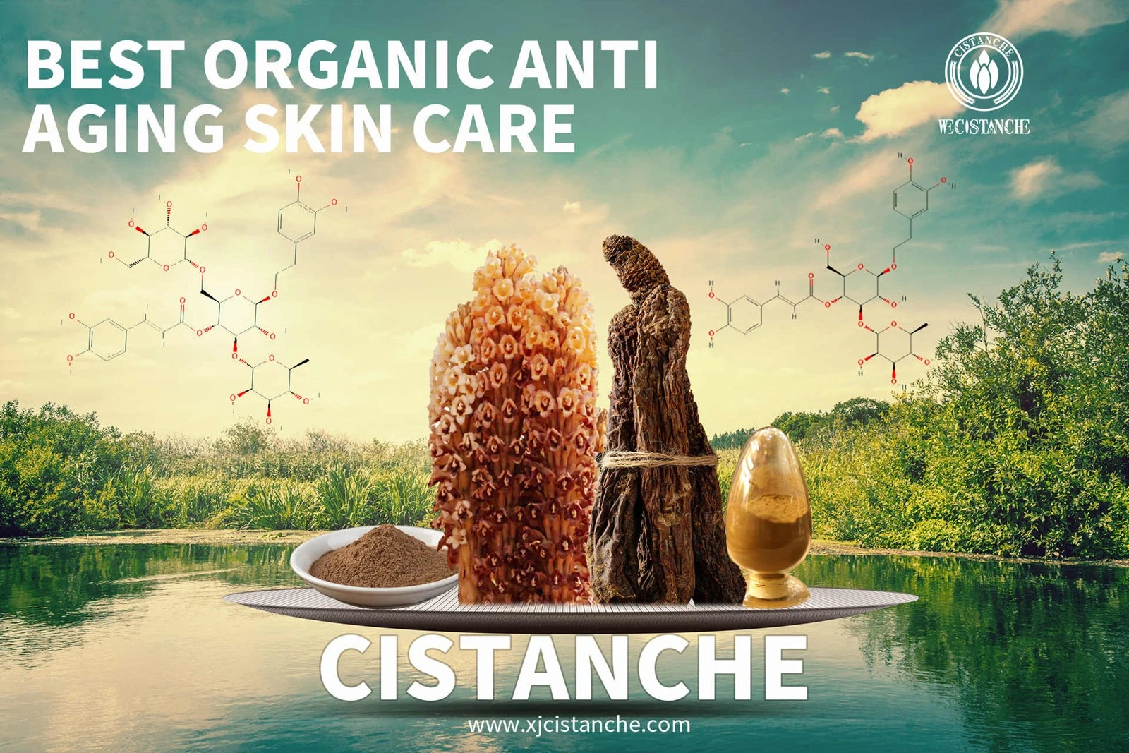 cistanche nutrilite cistanche nutrilite