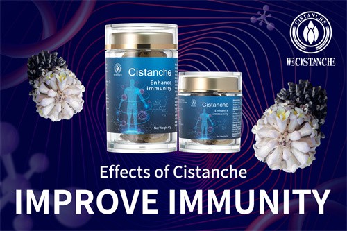 cistanche penis growth