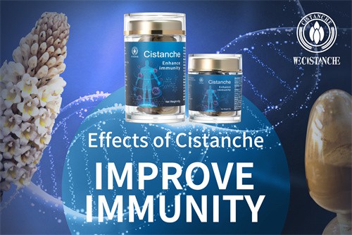 cistanche effects