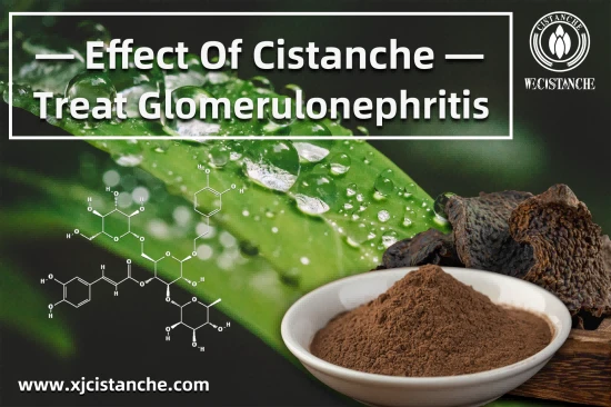 best herbs for kidney