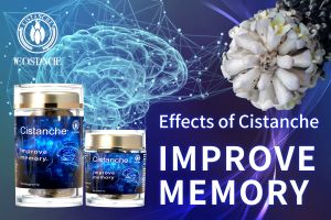 improve memory