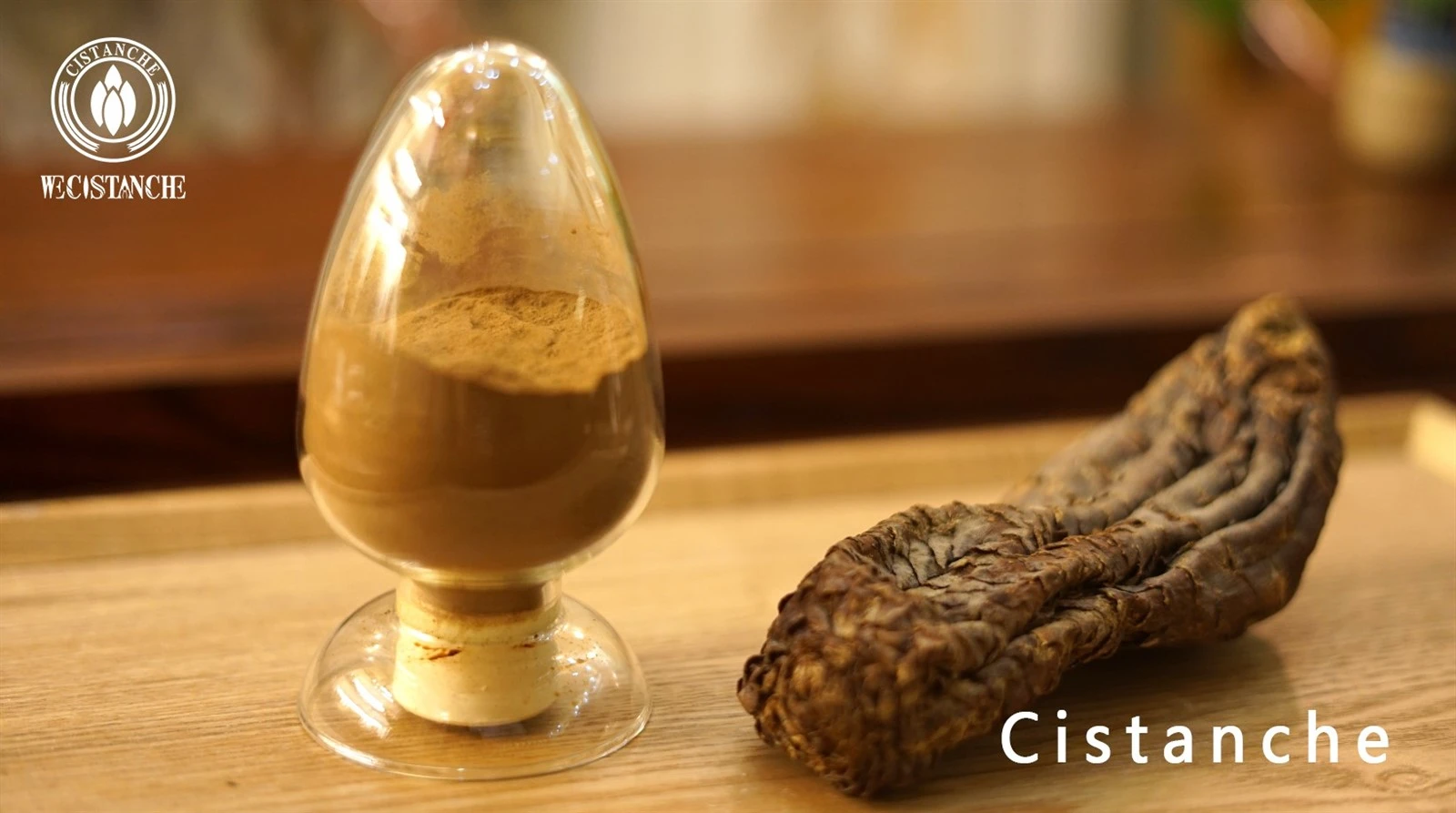cistanche tubulosa natural herbal medicine