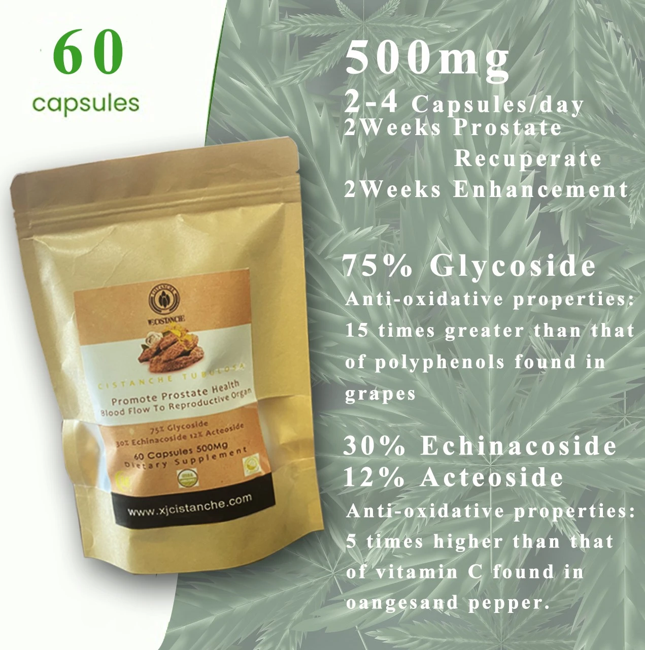 cistanche prostate supplements