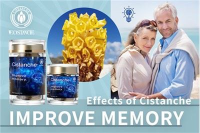 Cistanche Tubulosa nový zachránce pro zlepšení paměti a zmírnění Parkinsonova syndromu